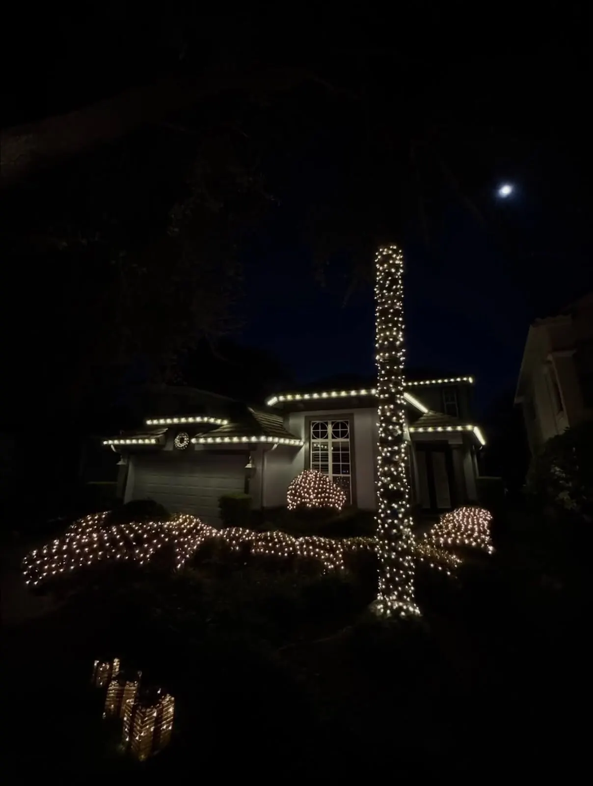 Palm tree and bushes wrapped in warm white Christmas lights